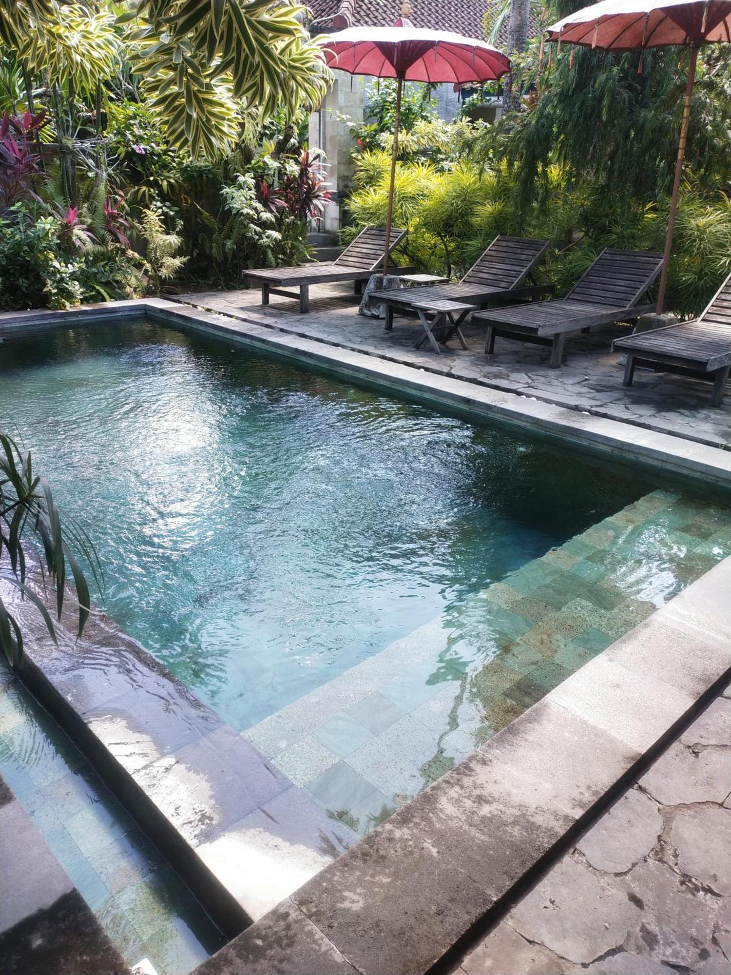 Comeback Guesthouse Canggu  Exterior photo
