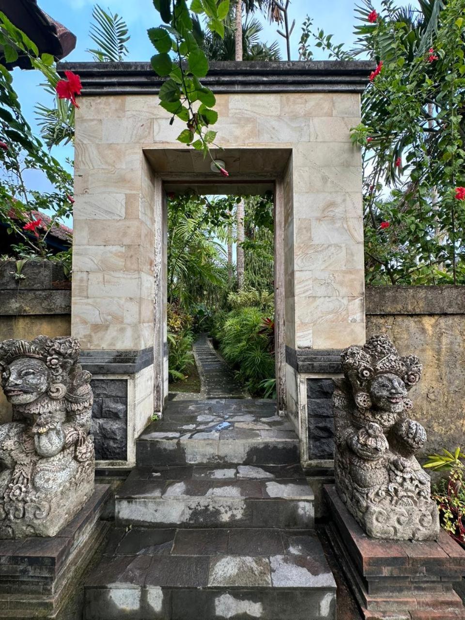 Comeback Guesthouse Canggu  Exterior photo