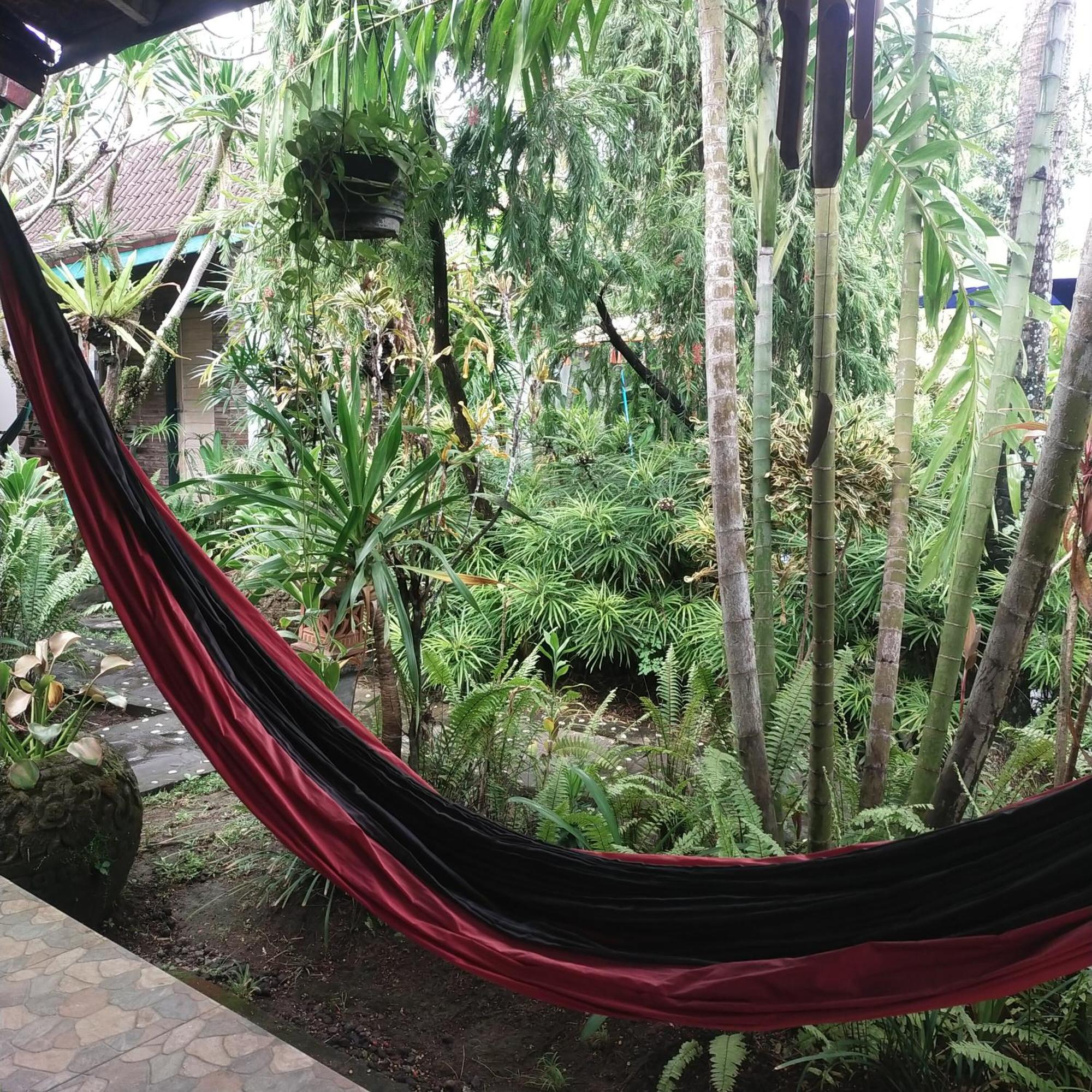 Comeback Guesthouse Canggu  Exterior photo